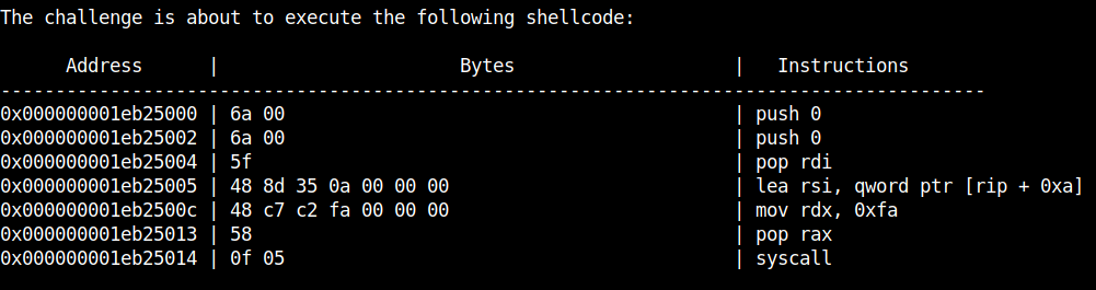 /posts/2021_assembly_and_shellcoding_walkthrough/images/stdout_of_exec_shellcode.png