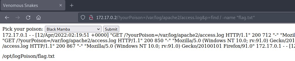 /posts/2022_log_and_path_poisoning/files/find_flag.jpg